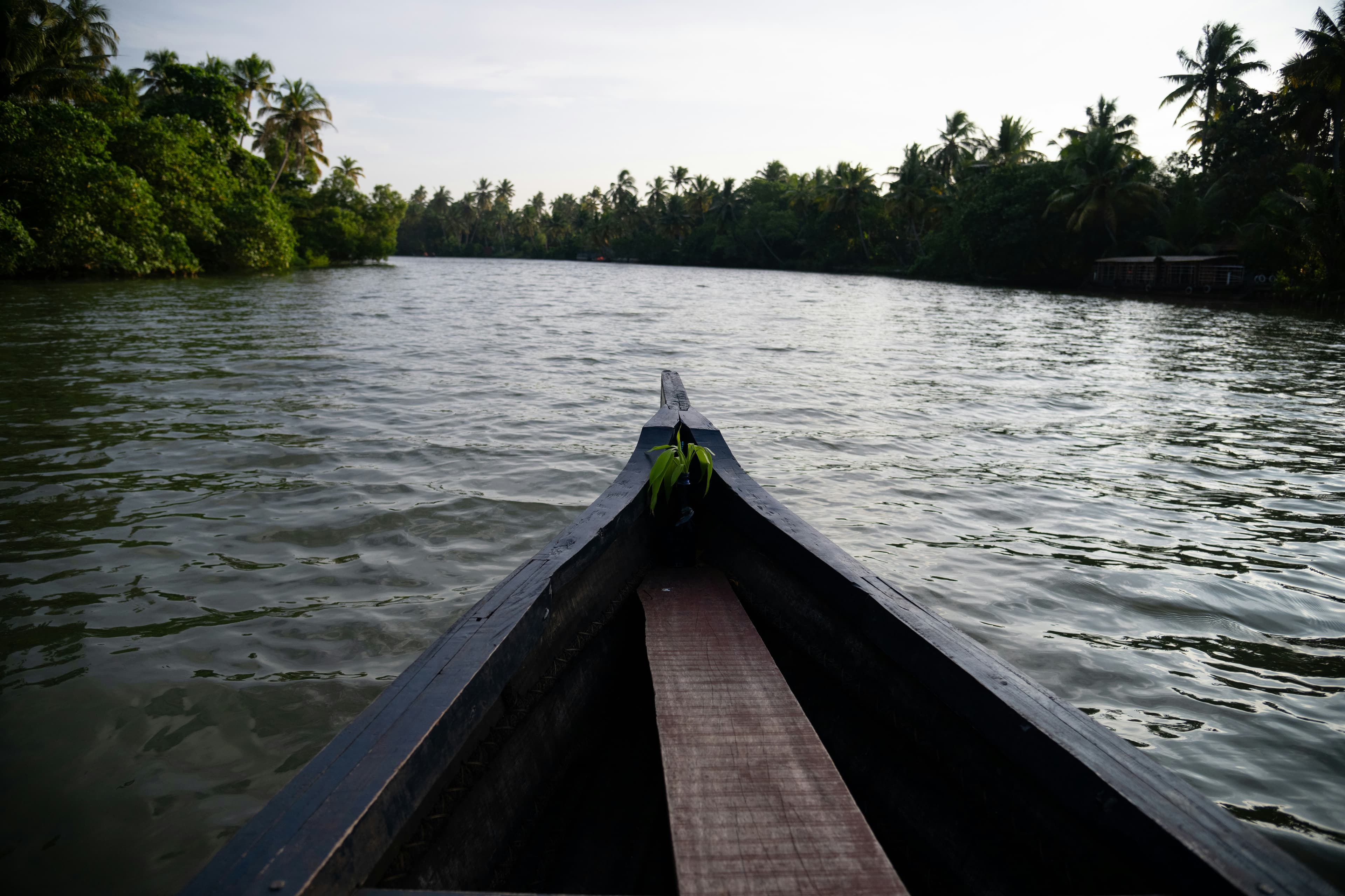 Boat ride through the backwaters of Munroe Island
