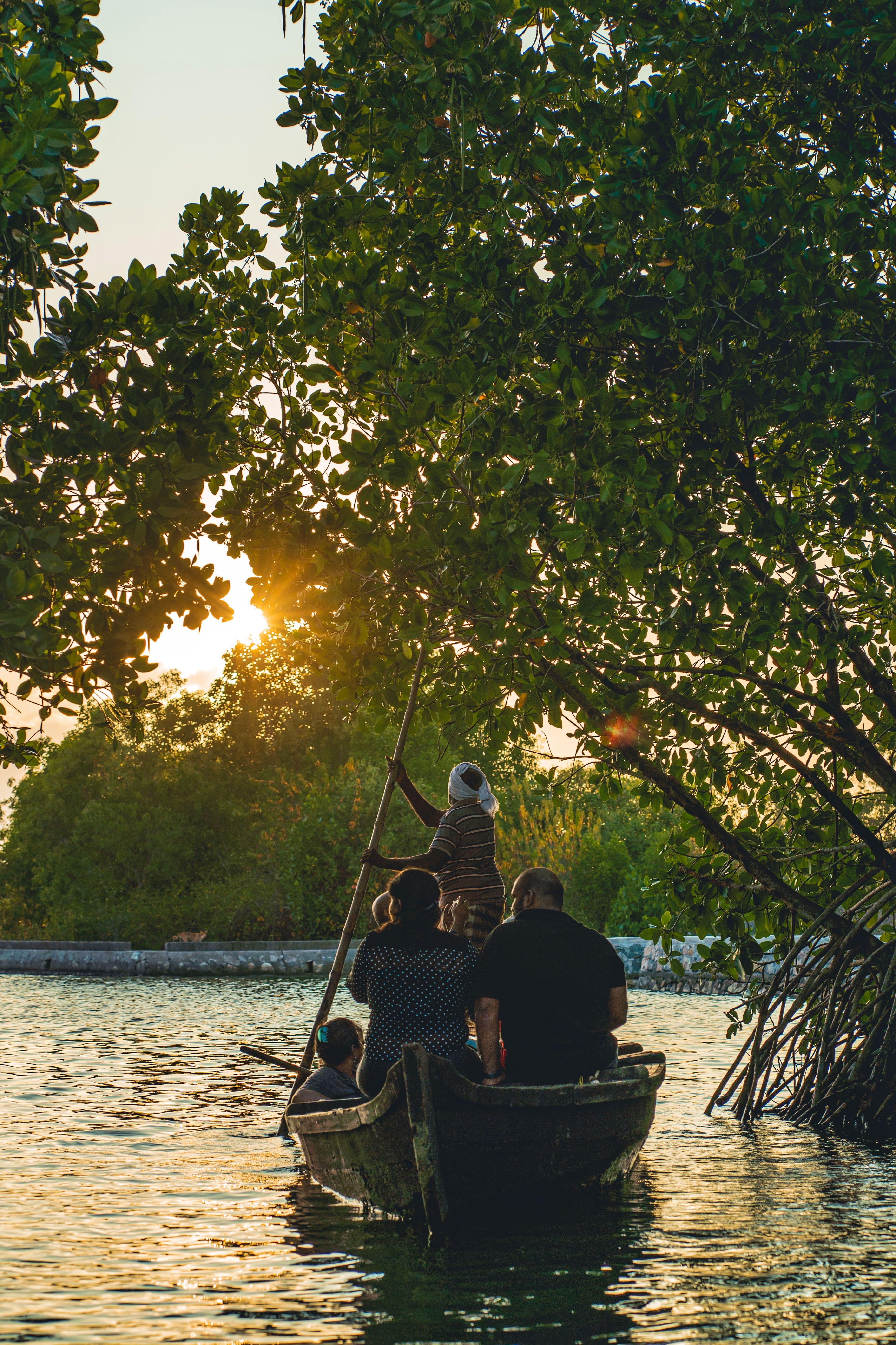 Backwater experience at Munroe Island