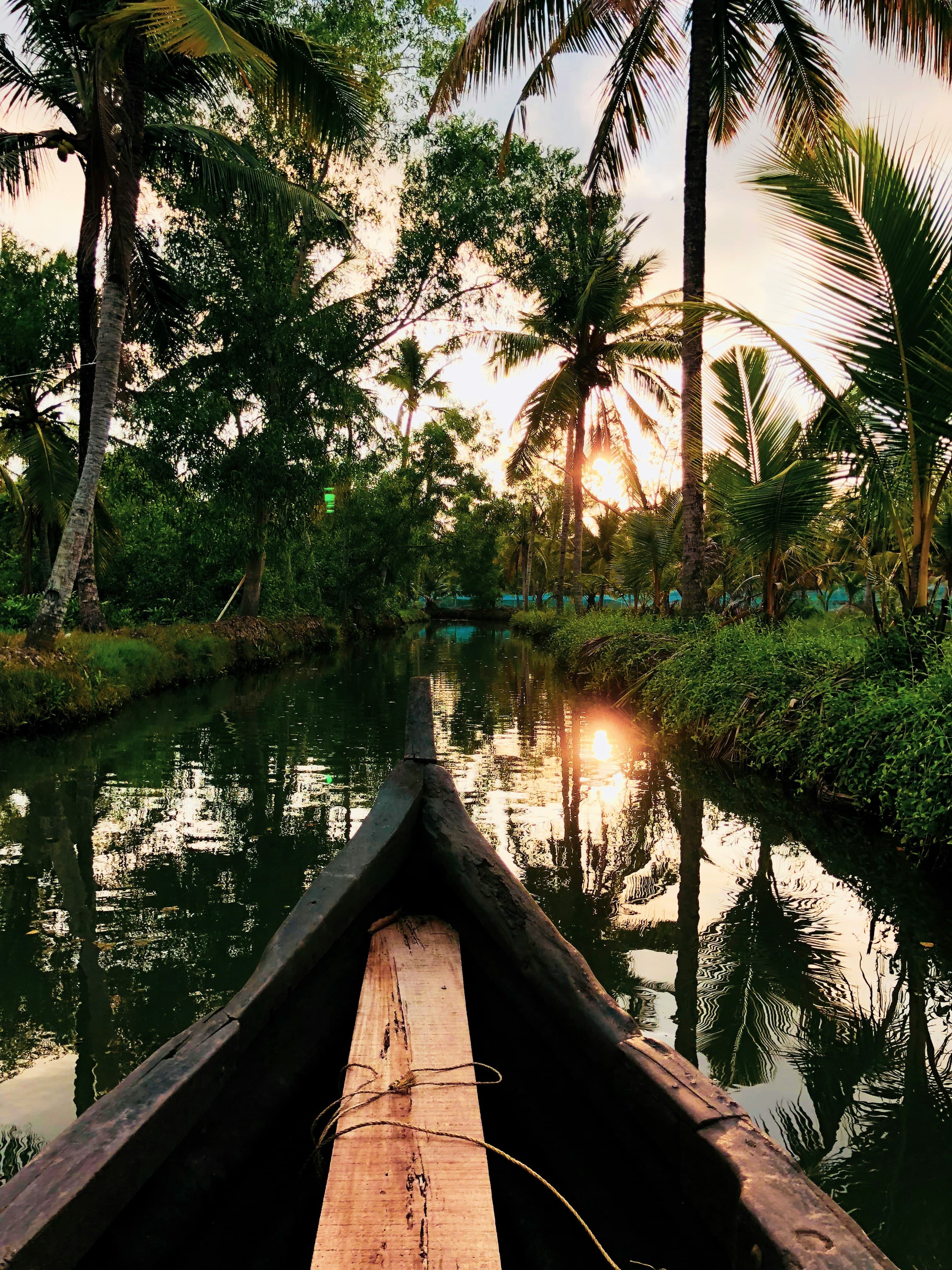 Peaceful backwaters around Munroe Island